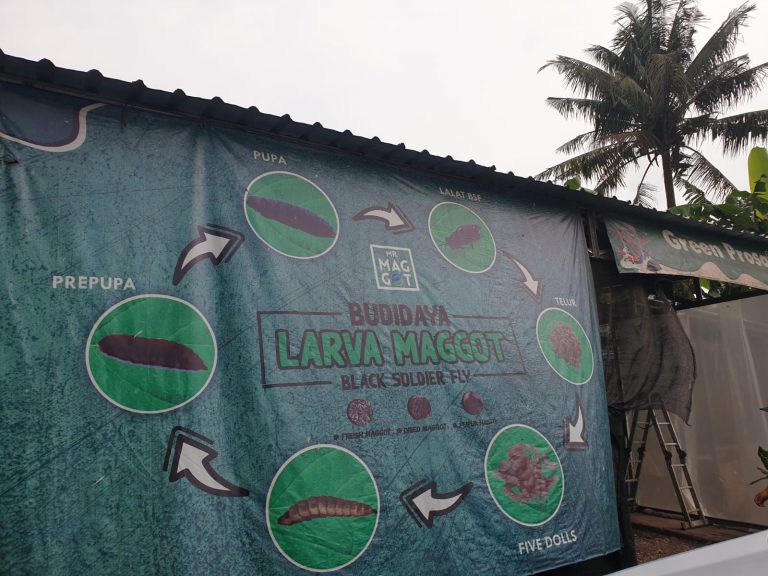 Waste sorting at Green Prosa