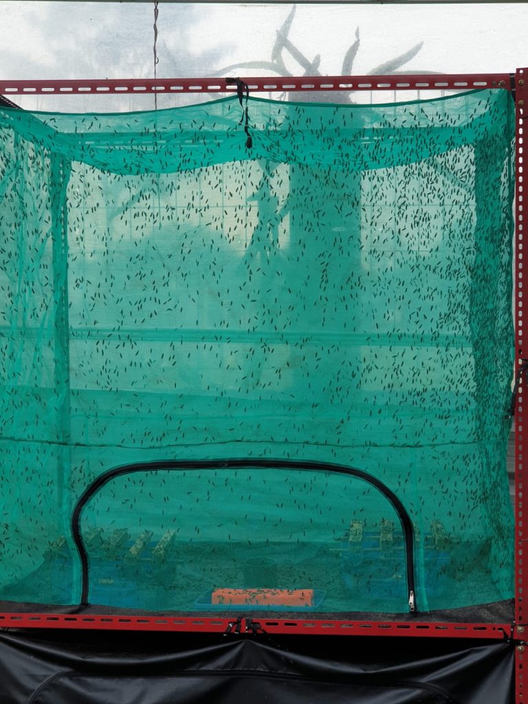 KSM waste collection workers